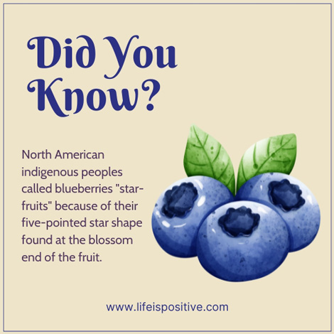 did-you-know-blueberries-fact-sheet