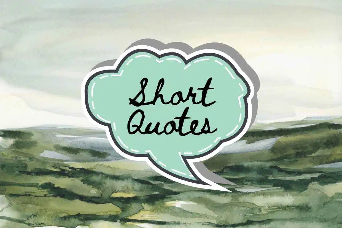 25 Best Short Quotes Of All Time That Will Inspire You Life is Positive