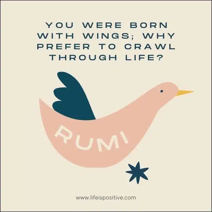 You-Were-Born-With-Wings-rumi-quotes-1-jpg