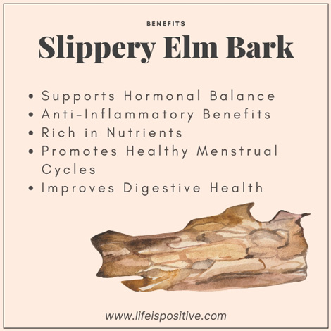 slippery-elm-bark-benefits-for-womens-health-fertility-and-reproductive-health