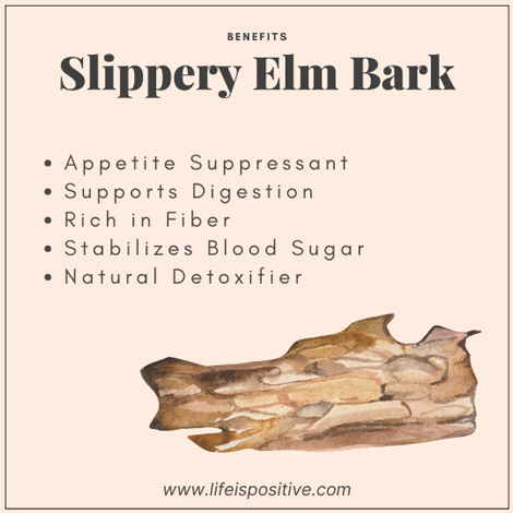 slippery-elm-bark-benefits-for-womens-health-weight-management-and-exercise