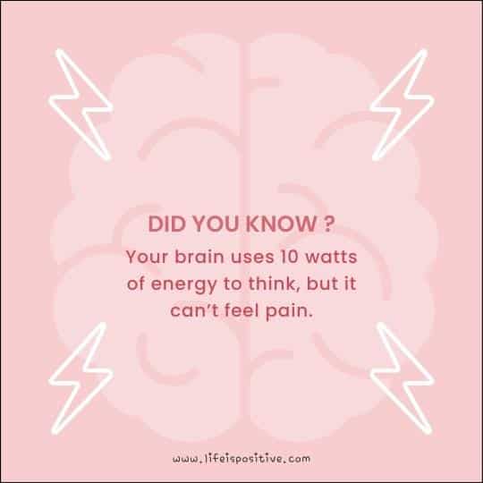 An educational social media post with a pink background featuring a fun fact about human brains, highlighting that they use 10 watts of energy for creative thinking yet are unable to feel pain, flanked by mirrored