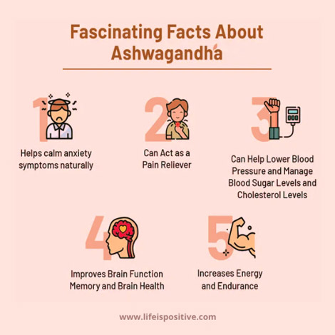 facts-about-ashwagandha-natural-herbs-for-insomnia