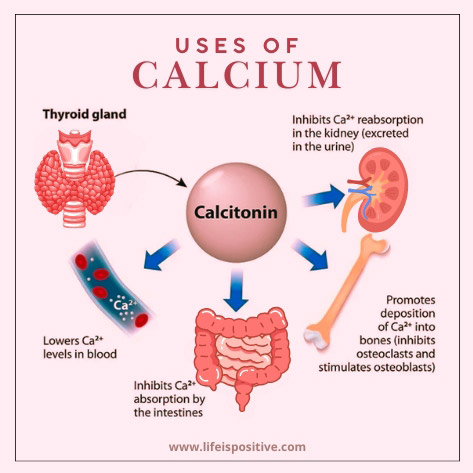 uses-of-calcium-lack-of-calcium-in-body