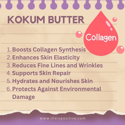 anti-aging-secrets-of-kokum-butter-collagen-production