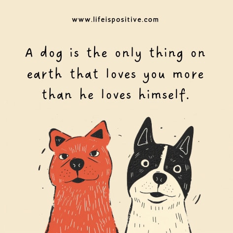 life-lessons-from-dogs-quotes-two-friendly-dogs-red-one-black-white-one-are-looking-viewer-with-happy-expressions