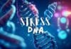 An artistic representation of DNA strands in vibrant blue and purple colors. The word "STRESS" appears prominently in white text, followed by "DNA" below it, against a blurry, colorful background with bubbles and light orbs. This evocative piece illustrates how stress changes your DNA.