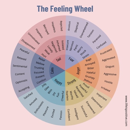 A colorful emotional wheel chart showcases human emotions categorized into sections: Sad, Fear, Angry, Strong, Happy, and Calm. Each section is divided into specific feelings radiating from general to precise emotions like "hurt" and "depressed" under Sad or "joyful" and "excited" under Happy.