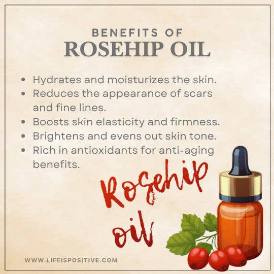 A graphic titled "Benefits of Rosehip Oil" showcases how this healing oil hydrates skin, reduces scars and fine lines, boosts elasticity, brightens skin tone, and is rich in antioxidants. Illustrated with a dropper bottle, rosehip fruit, and leaves. Visit: www.lifeispositive.com.