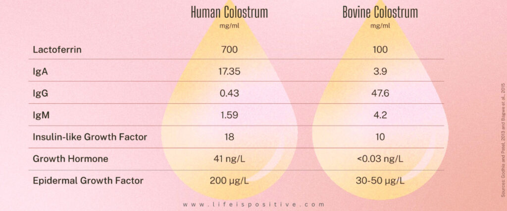 Comparison chart of human and bovine colostrum depicting nutrient concentrations. Highlights colostrum benefits in boosting immunity, gut health, and more with data on lactoferrin, IgA, IgG, IgM, insulin-like growth factor, growth hormone, and epidermal growth factor. Human colostrum shows higher values. Source cited at bottom.