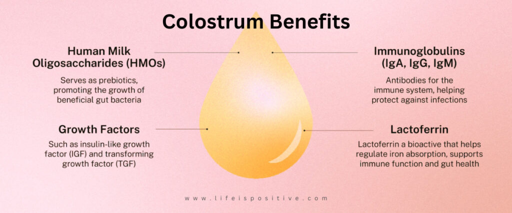 Infographic titled "Colostrum Benefits" with a drop shape in the center highlights how colostrum benefits boost immunity and improve gut health. Features Human Milk Oligosaccharides, Immunoglobulins, Growth Factors, and Lactoferrin. Discover more at www.lifeispositive.com.