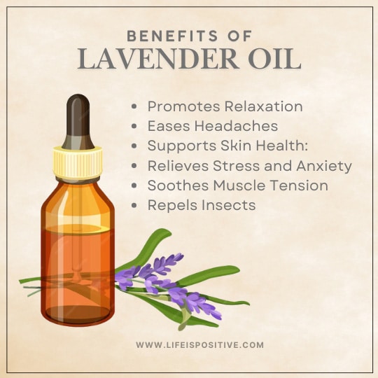 An illustration of a brown dropper bottle with lavender sprigs showcases the healing oils' benefits: promotes relaxation, eases headaches, supports skin health, relieves stress and anxiety, soothes muscle tension, and repels insects. Visit www.lifeispositive.com for more.