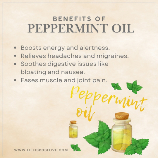 An infographic titled "Benefits of Peppermint Oil" highlights the advantages of this healing oil: boosts energy and alertness, relieves headaches and migraines, soothes digestive issues like bloating and nausea, eases muscle and joint pain. Illustrated with a small bottle of peppermint oil and mint leaves.