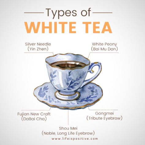 white-tea-leaves-facts-types-of-white-tea