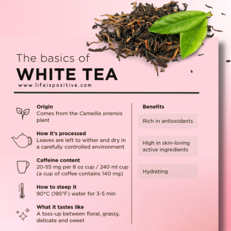 white-tea-leaves-facts